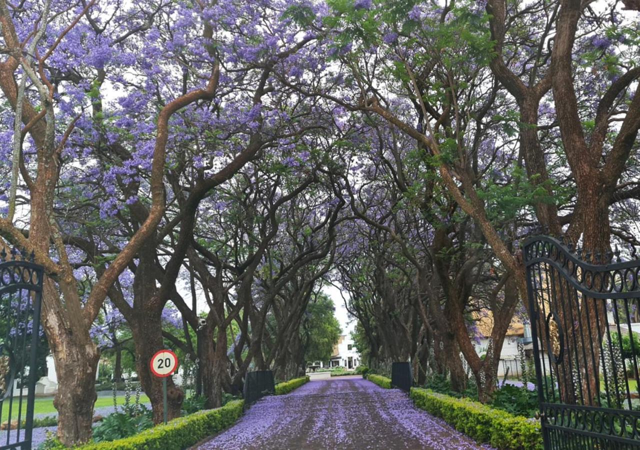Kievits Kroon Gauteng Wine Estate Pretoria Exterior photo